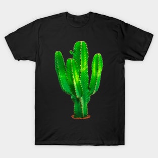 cactus euphorbia T-Shirt